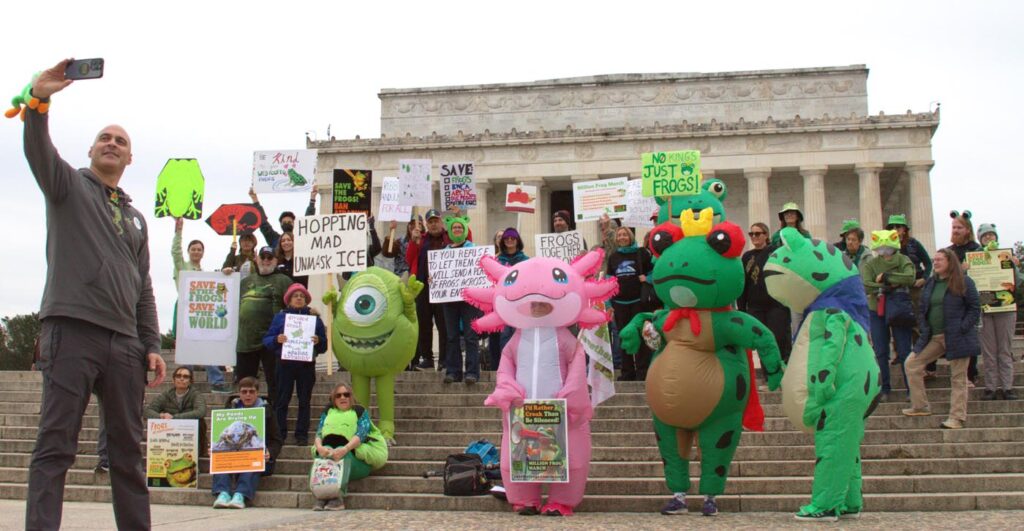 Pawai Sejuta Katak Washington DC 2025 11-15 Foto oleh Arlo Lachenmeyer 19