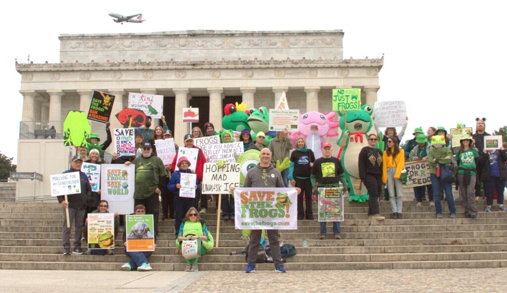 Pawai Sejuta Katak Washington DC 2025 11-15 Foto oleh Arlo Lachenmeyer Group Bendera 09