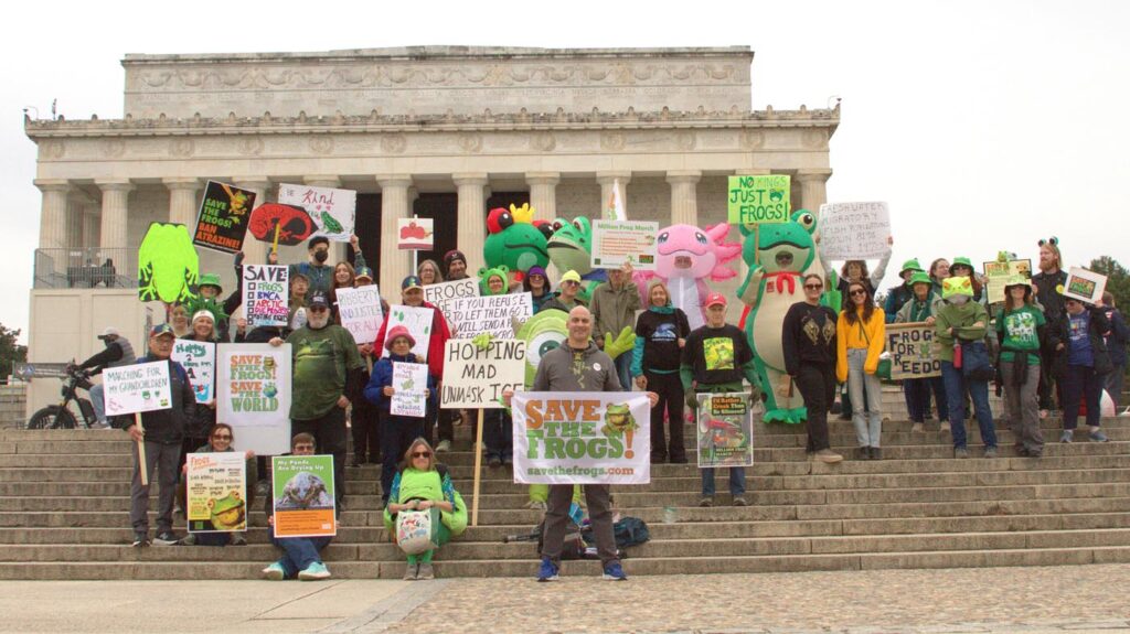 Pawai Sejuta Katak Washington DC 2025 11-15 Foto oleh Arlo Lachenmeyer Group Bendera 12