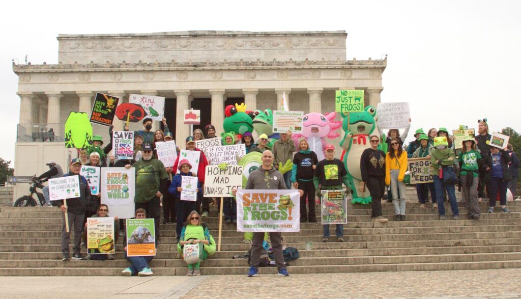 Pawai Sejuta Katak Washington DC 2025 11-15 Foto oleh Arlo Lachenmeyer Group Bendera 18