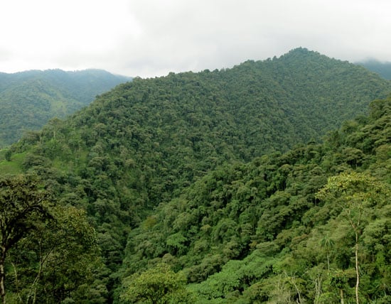 Ecuador Mindo