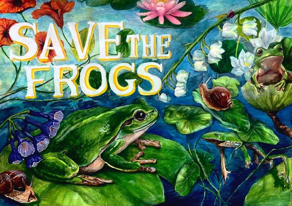 Minseo Jung South Korea 2023 save the frogs art contest 1