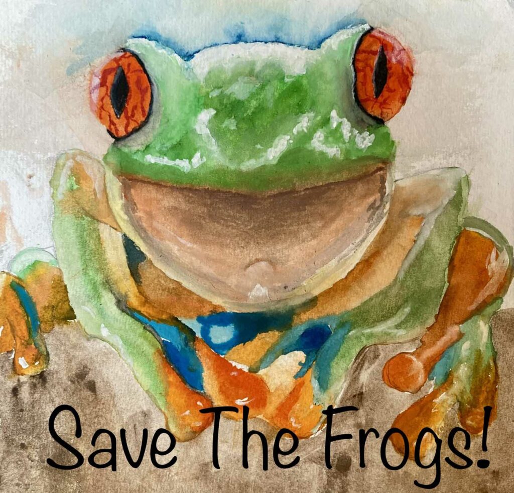 Moses Cockcroft USA 2023 save the frogs art contest 1