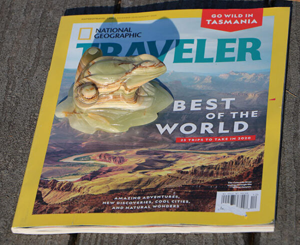 National Geographic Traveler Onyx Frog a 650 2