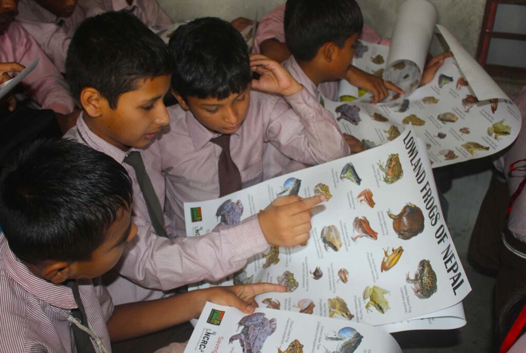 Nepal Conservation and Research Center Bishal Neupane Save The Frogs Day 2024 36