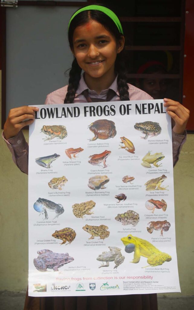 Nepal Conservation and Research Center Bishal Neupane Save The Frogs Day 2024 41