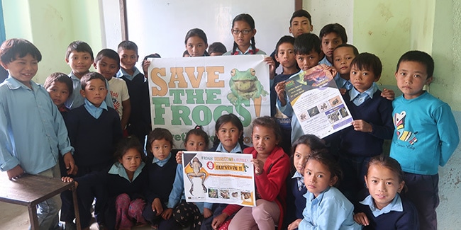 Save The Frogs Day Nepal 2019