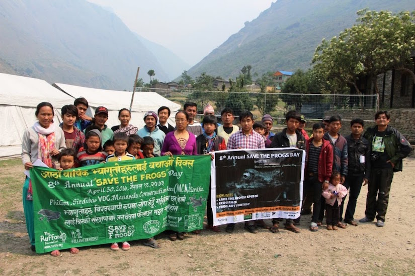 Save The Frogs Day in Manaslu