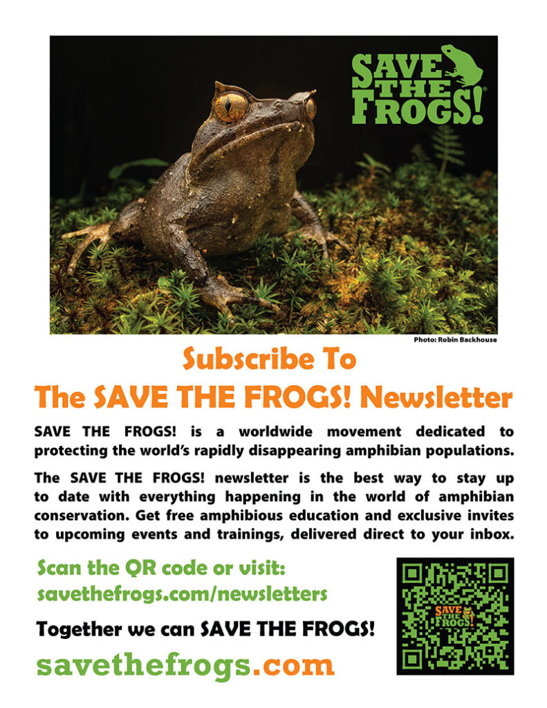 ใบปลิวสมัครรับจดหมายข่าว - Save The Frogs 800