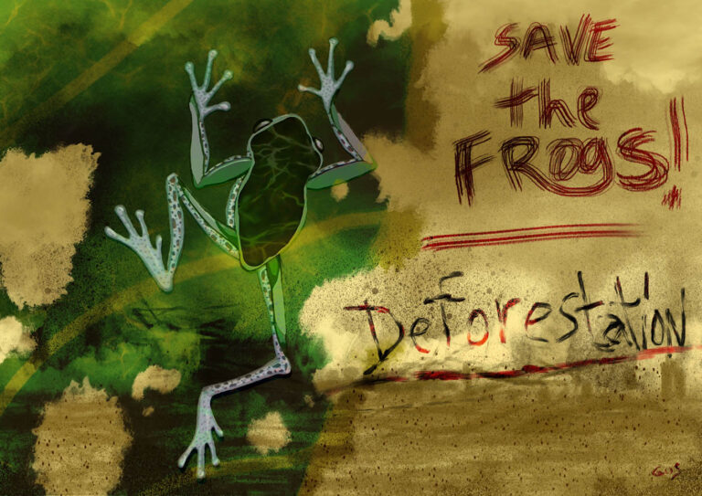 Nick Gustafson - Deforestation 2013 frog art