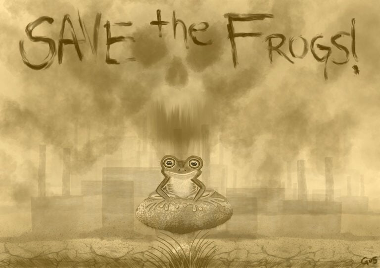 Nick Gustafson - Factory Scene frog art 2014 pollution pesticides