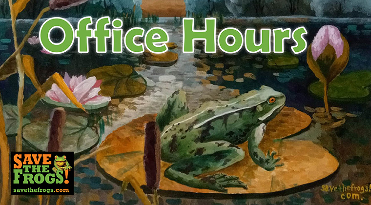Office Hours Save The Frogs