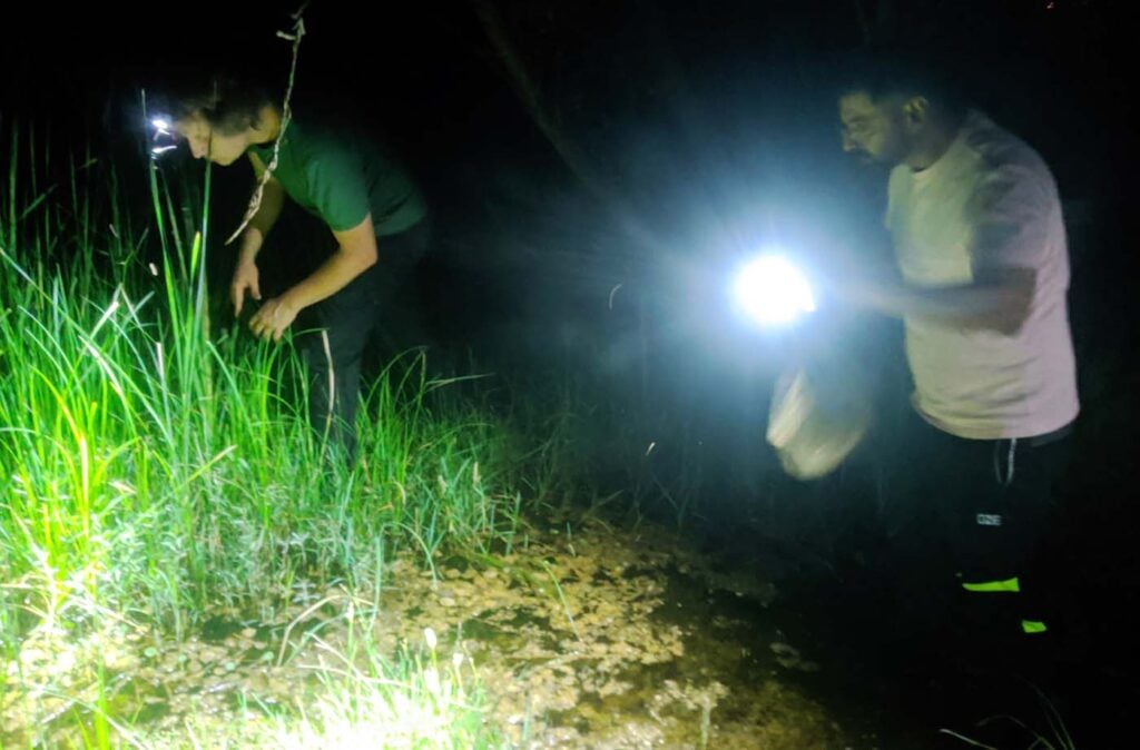 Pakistan Save The Frogs Day 2025