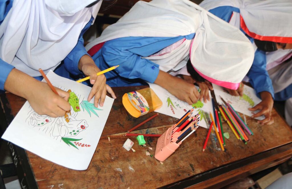 Pakistan Save The Frogs Day 2025