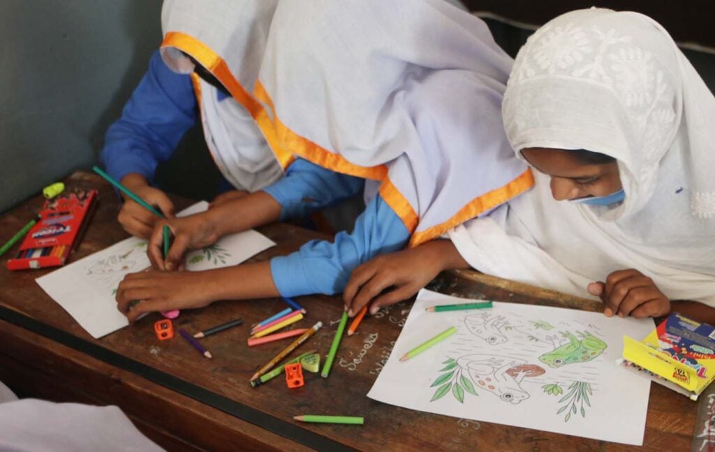 Pakistan Save The Frogs Day 2025