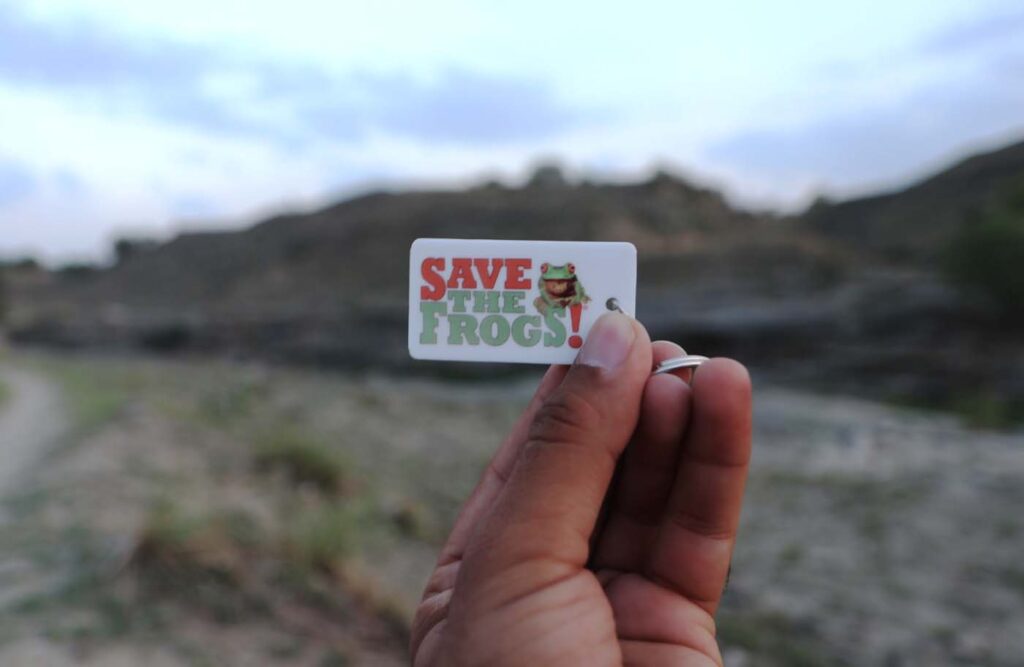 Pakistan Save The Frogs Day 2025