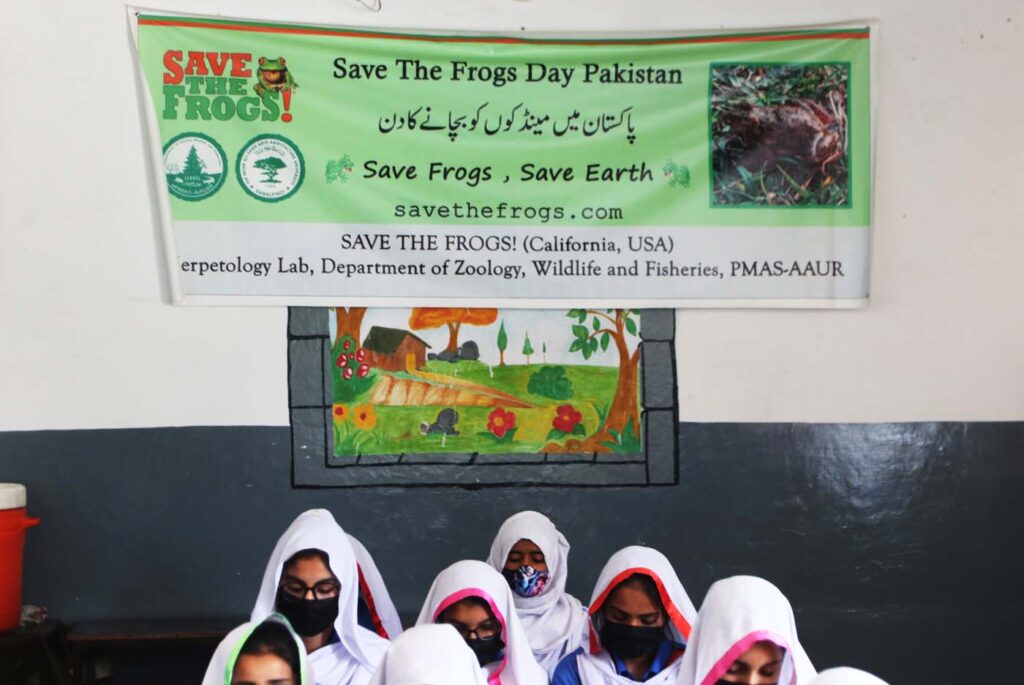 Pakistan Save The Frogs Day 2025