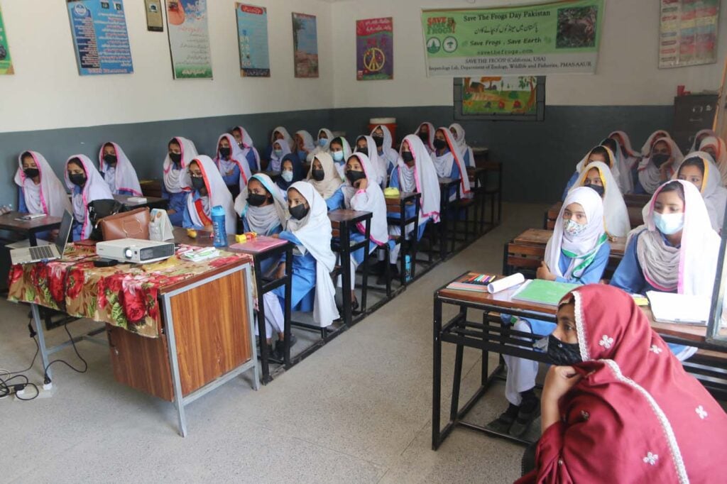 Pakistan Save The Frogs Day 2025