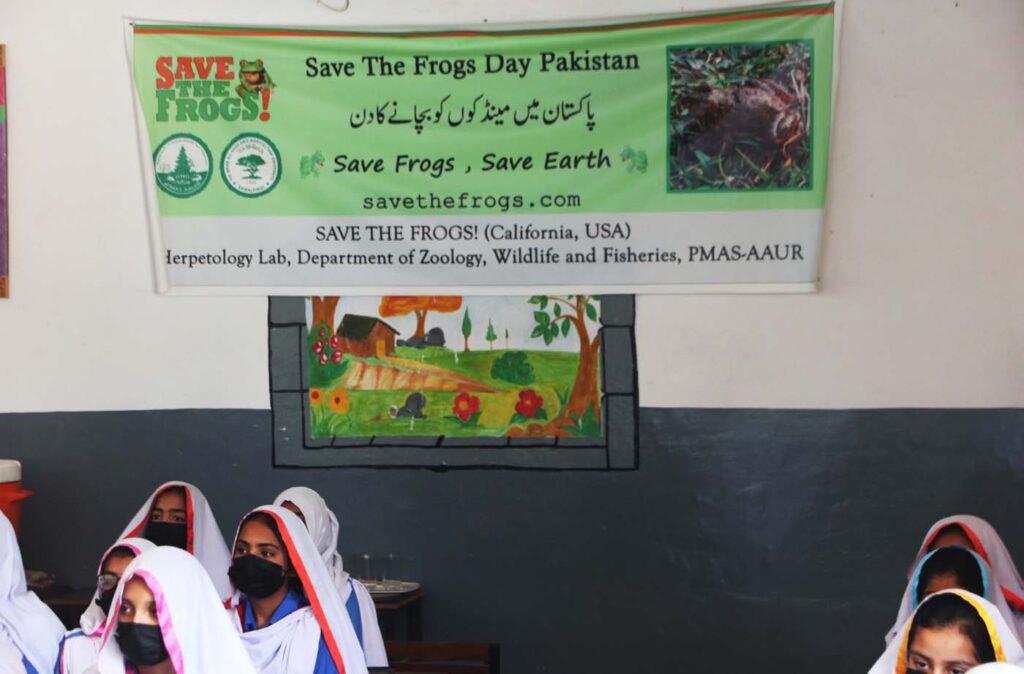 Pakistan Save The Frogs Day 2025