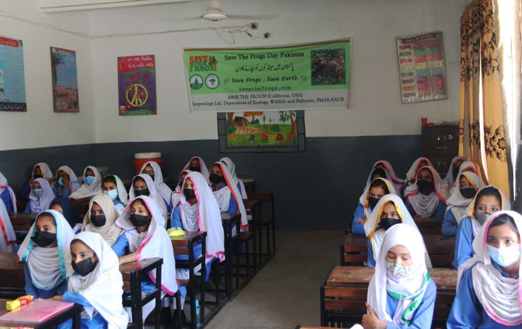Pakistan Save The Frogs Day 2025