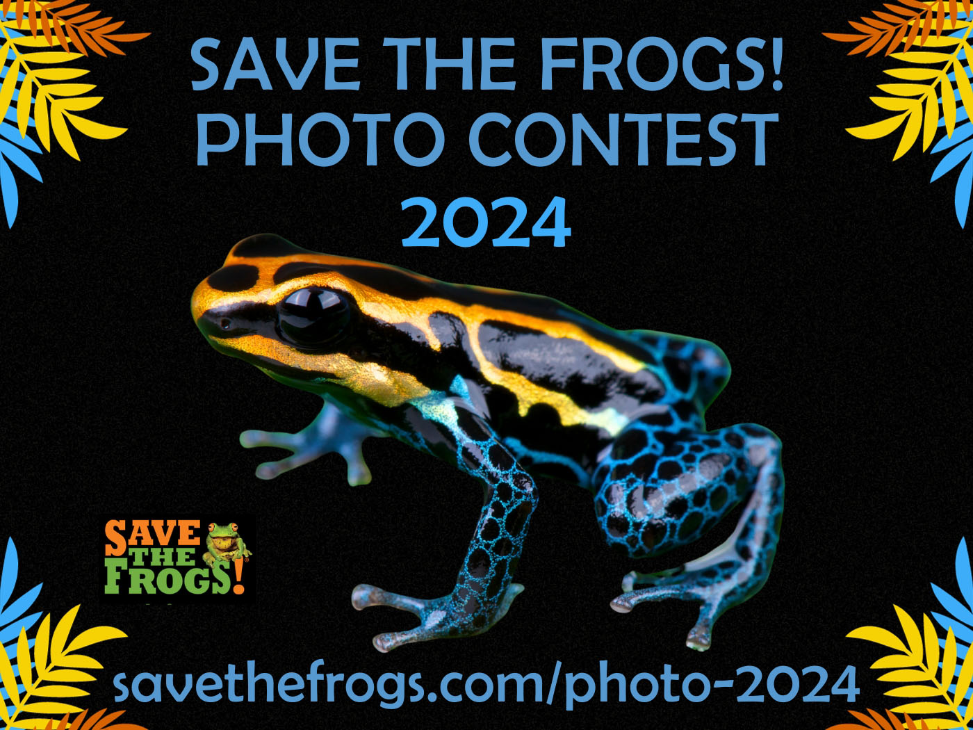 SAVE THE FROGS! Concours photo Gagnants 2024
