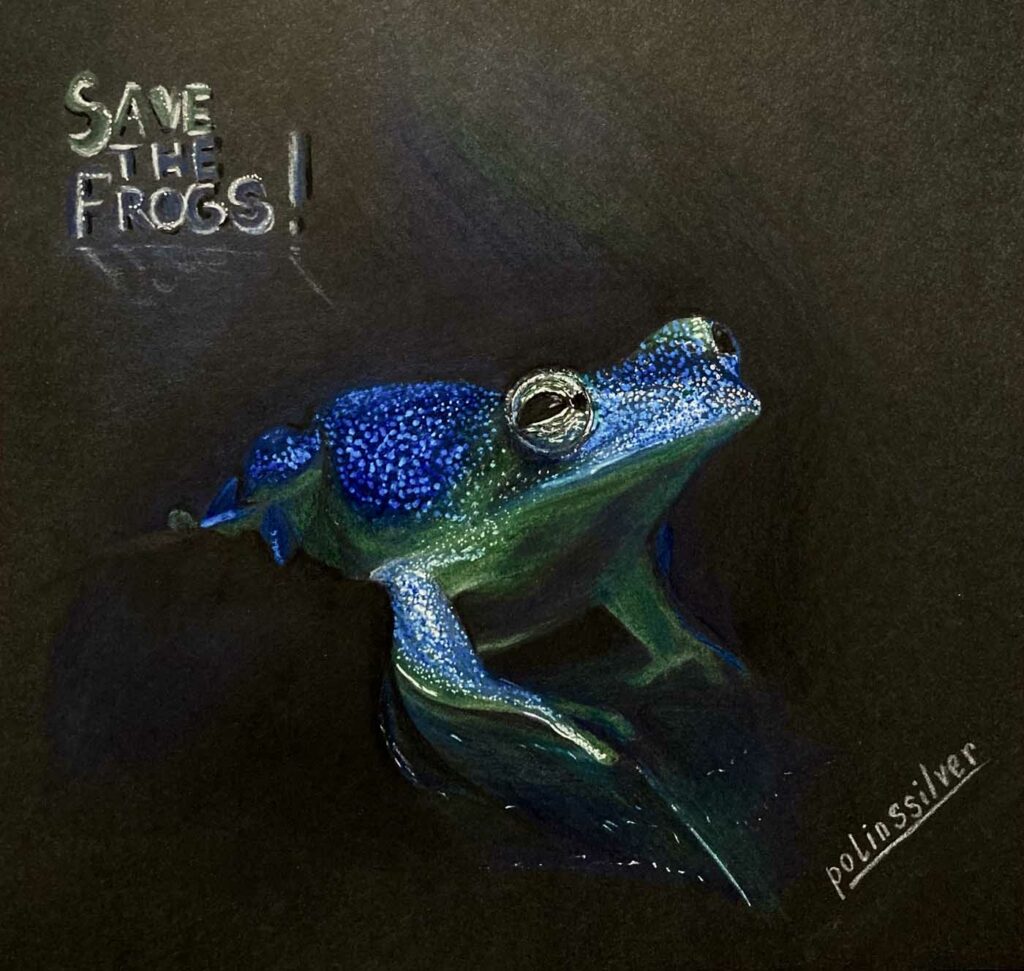 Polina Markina Russia 2023 save the frogs art contest 1