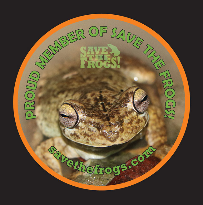 Proud Member of SAVE THE FROGS!