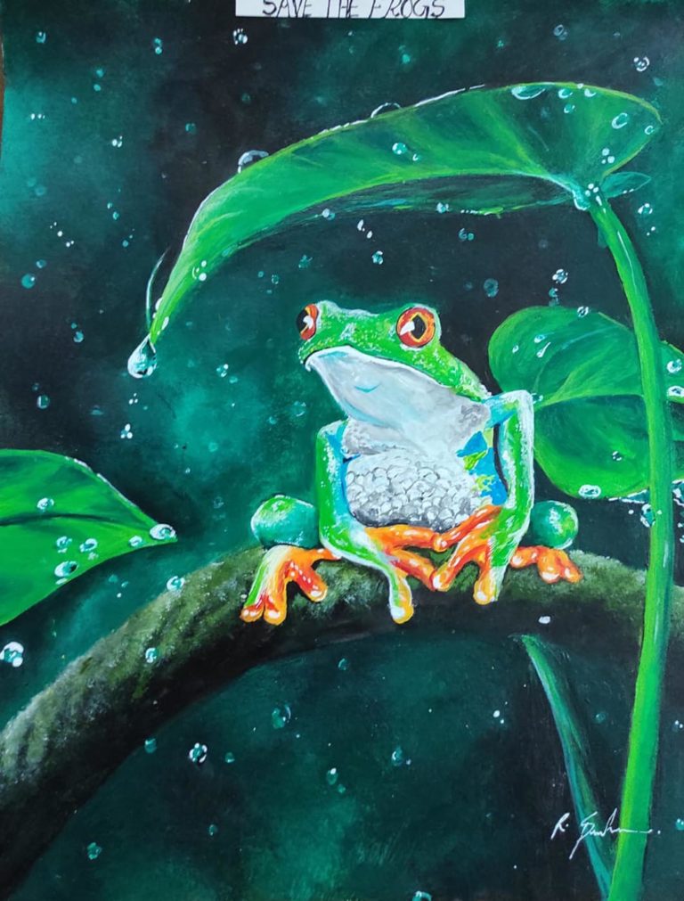 Drawing Competition 2021 – SAVE THE FROGS! India