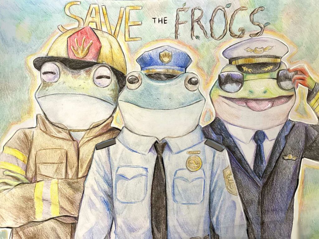 Rachel Jiang USA 2023 save the frogs art contest 1