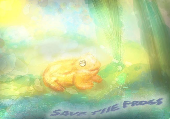 Rafaela-Penha-Brazil-2021-save-the-frogs-art-contest-1