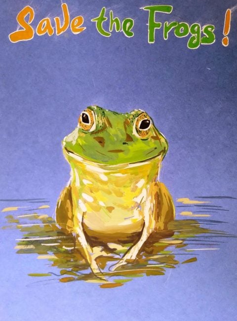Ruslan-Samarkanov-Russia-2021-Save-the-Frogs-Art-Contest-3