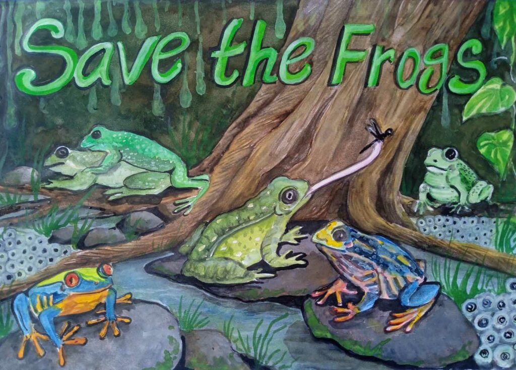 SINTHUJA NIROJAN Sri Lanka 2023 save the frogs art contest 1