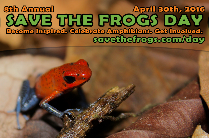 Save The Frogs Day 2016 Grant Recipients