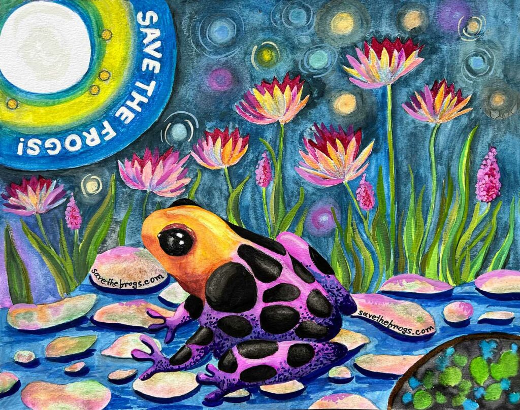 Saesha Motwani USA 2023 save the frogs art contest 1