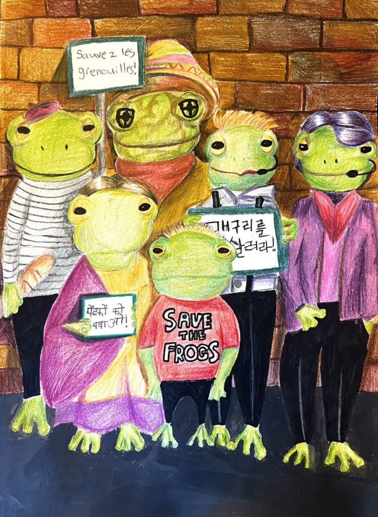 Samantha Kim USA 2023 save the frogs art contest 1