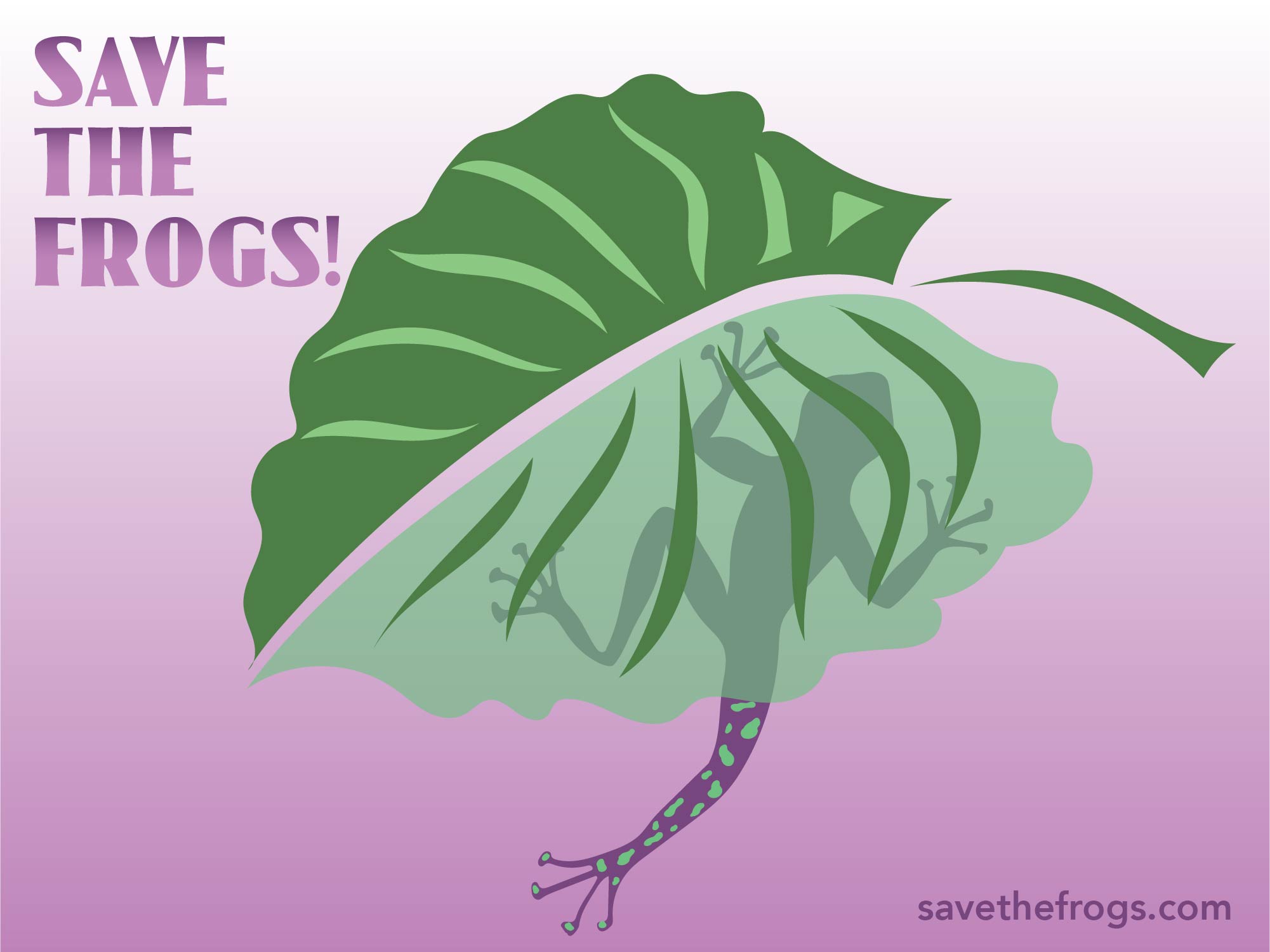 Save The Frogs Arte de Anya Ryzhokhina Purple Frog