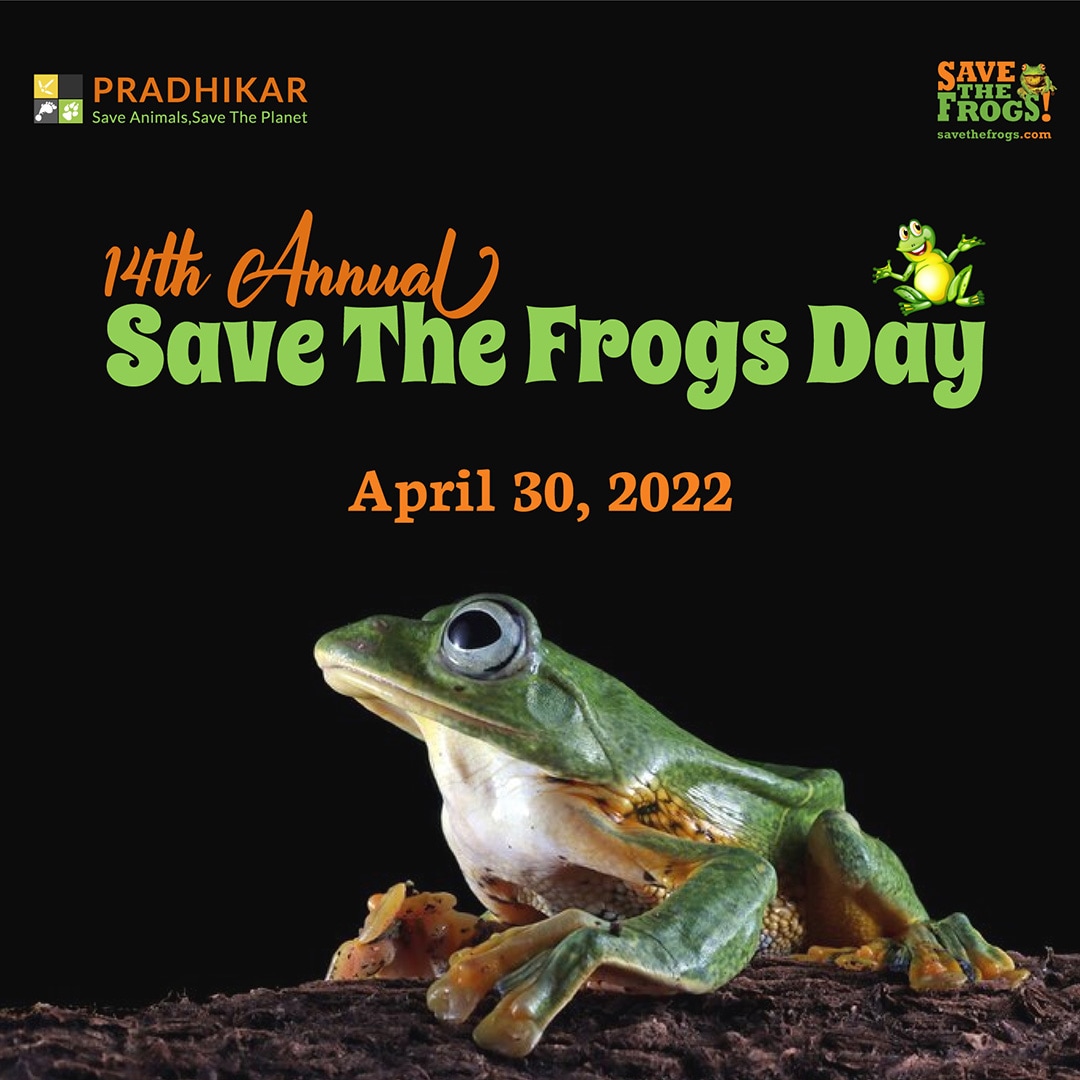 Save The Frogs Day 2022 Icon Pradhikar Bangladesh 1080