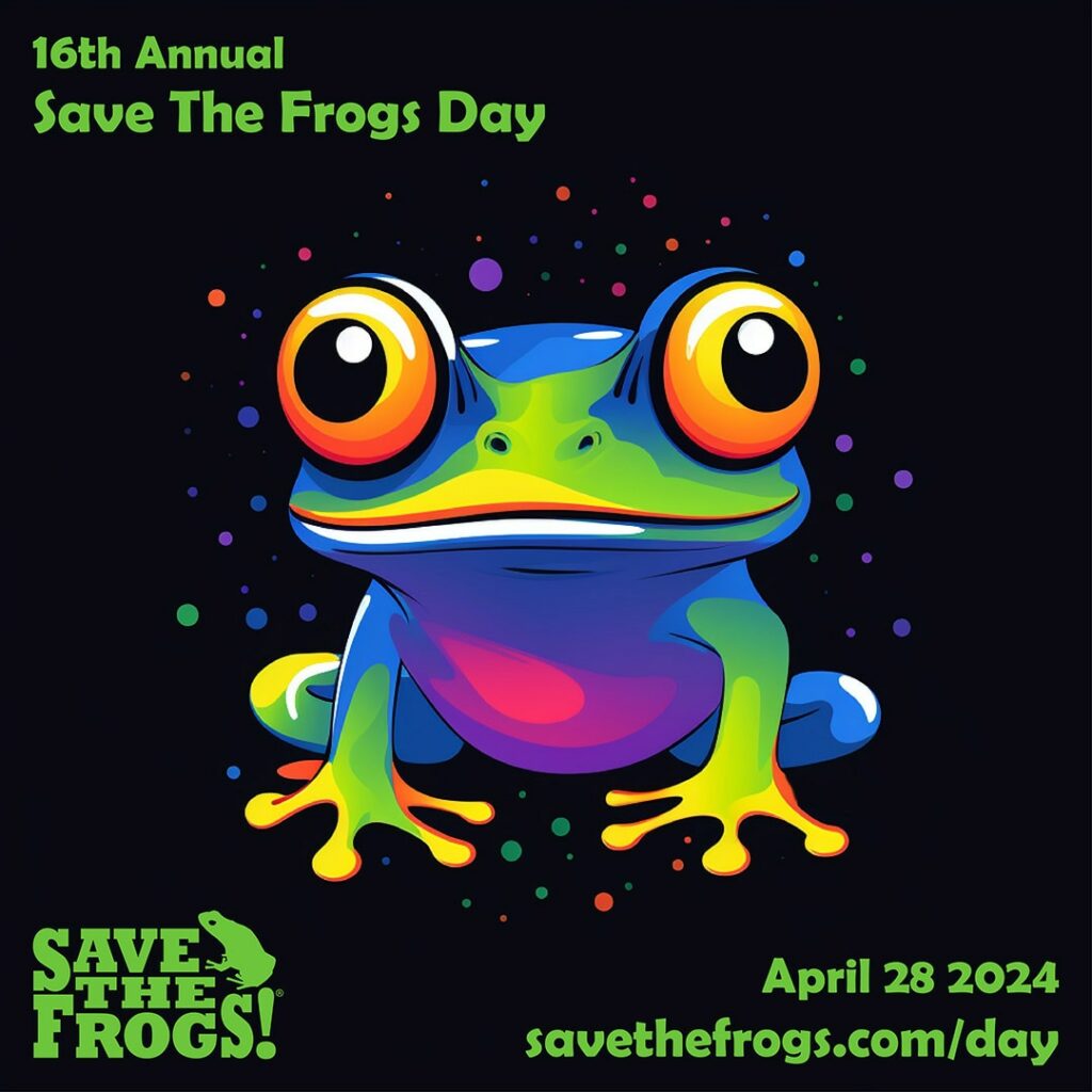 Symbol Save The Frogs Day 2024 – buntes Froschbaby