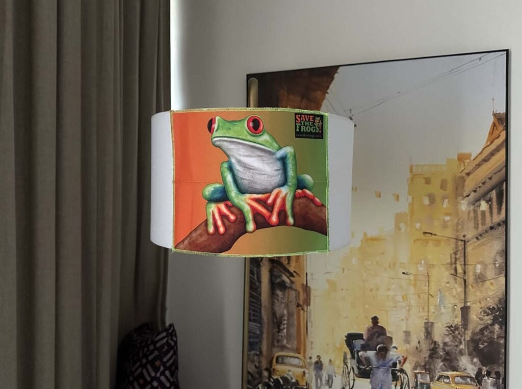 Save The Frogs Day 2025年国际两栖动物保护工作015