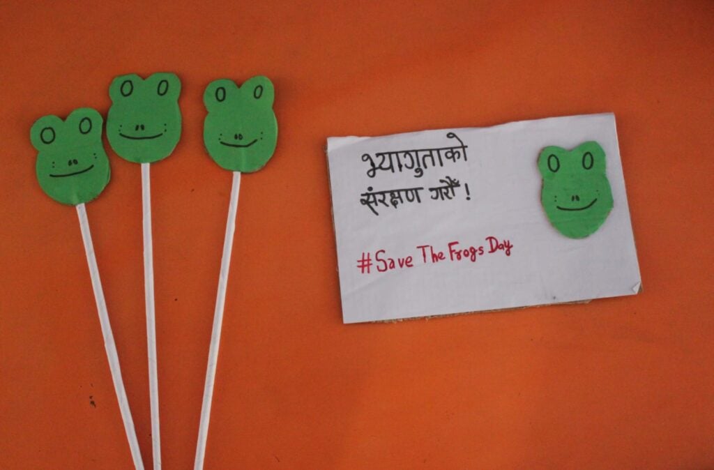 Save The Frogs Day 2025年国际两栖动物保护工作018