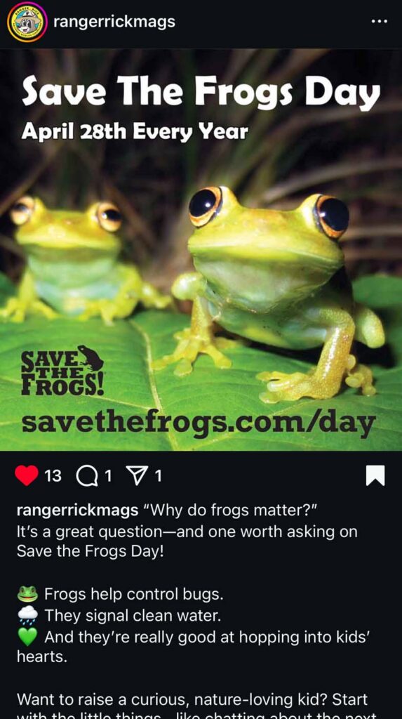 Save The Frogs Day 2025年国际两栖动物保护工作022