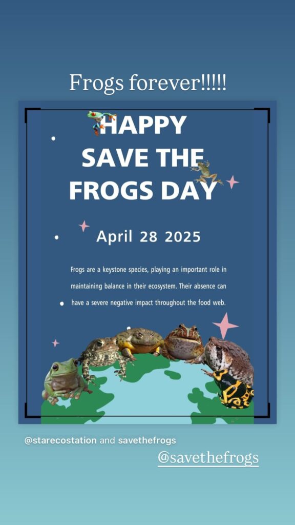 Save The Frogs Day 2025年国际两栖动物保护工作024