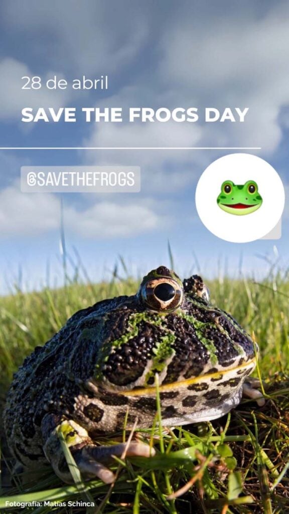 Save The Frogs Day 2025年国际两栖动物保护工作026