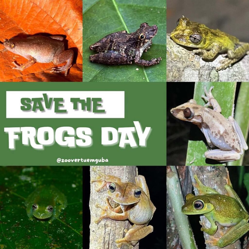Save The Frogs Day 2025年国际两栖动物保护工作032