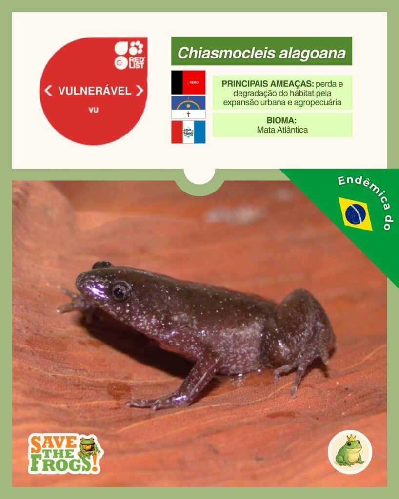 Save The Frogs Day 2025年国际两栖动物保护工作034