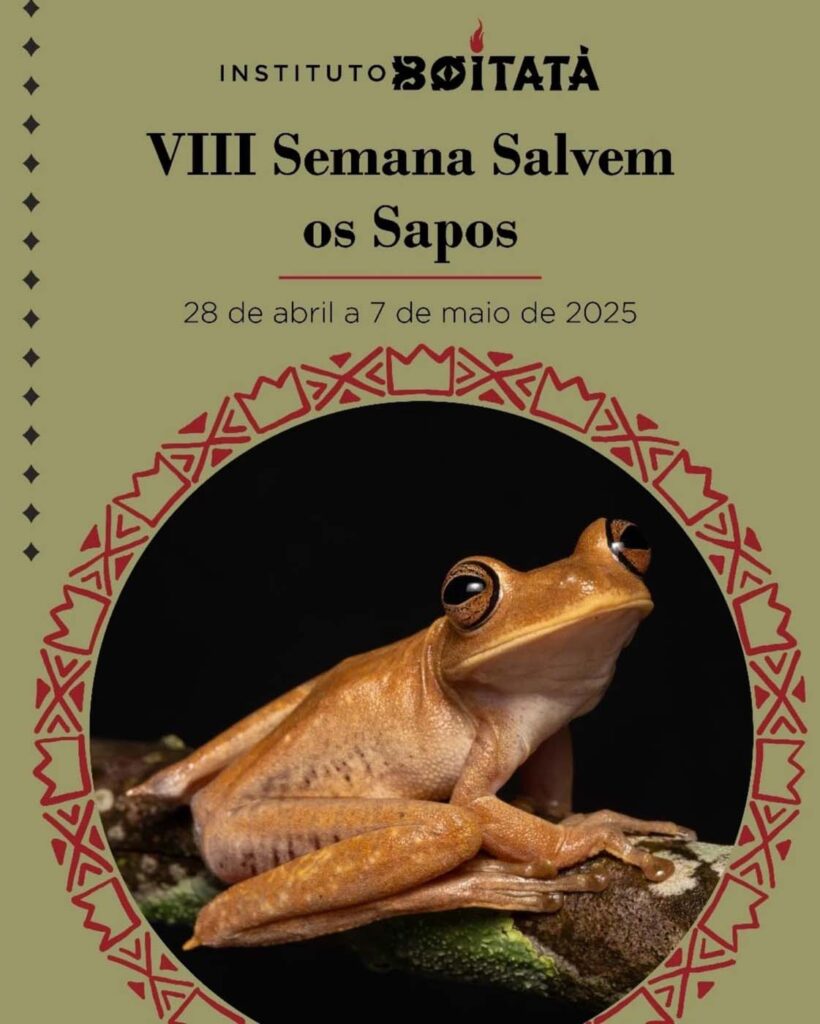 Save The Frogs Day 2025年国际两栖动物保护工作037