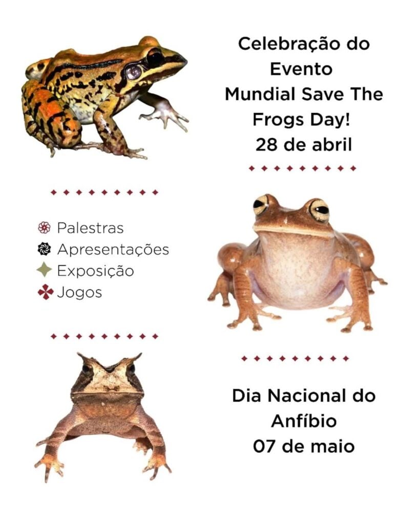 Save The Frogs Day 2025年国际两栖动物保护工作038