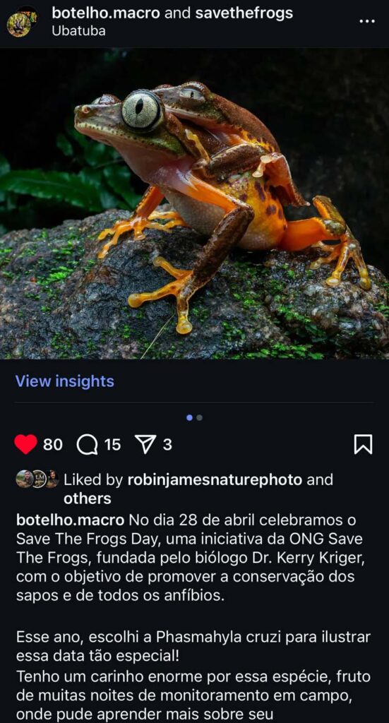 Save The Frogs Day 2025年国际两栖动物保护工作051