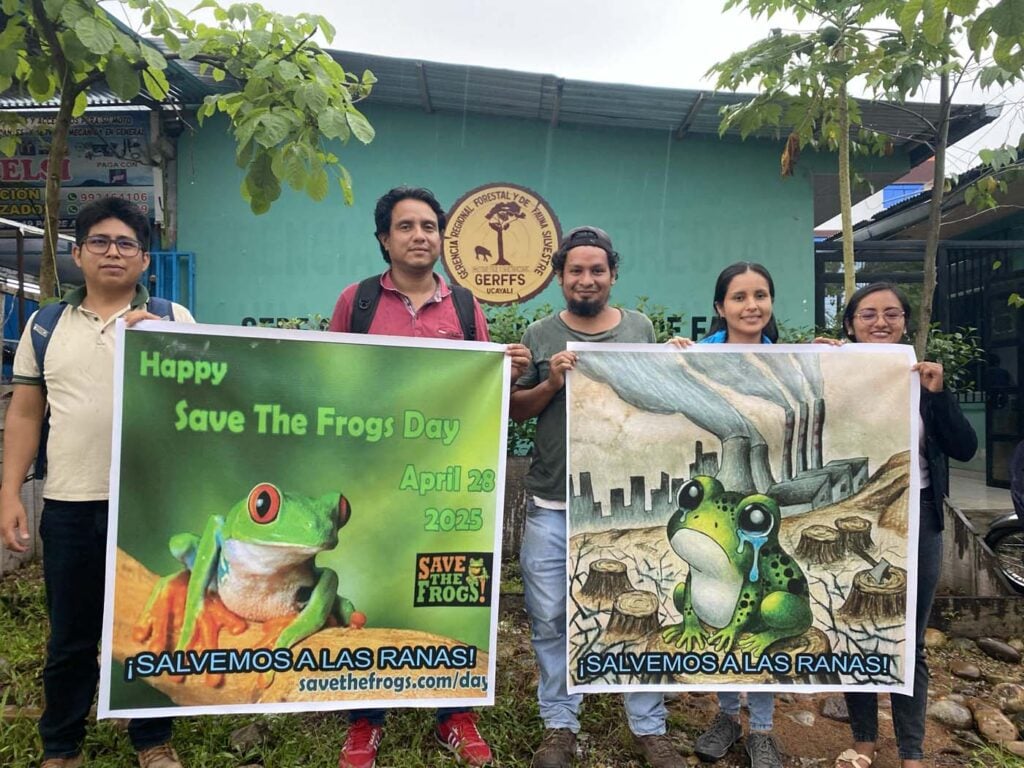 Save The Frogs Day 2025年国际两栖动物保护工作052