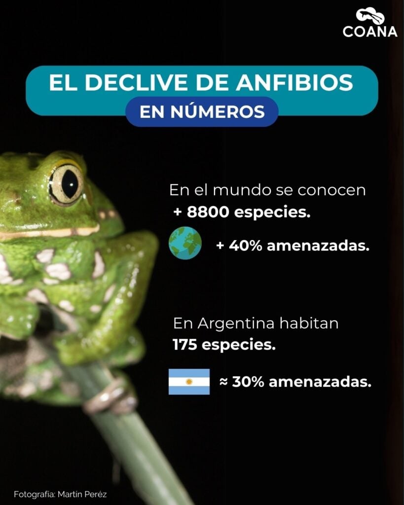 Save The Frogs Day 2025年国际两栖动物保护工作067